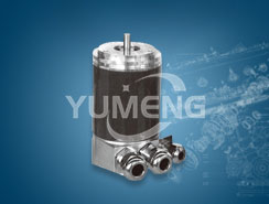 ����(xi��n)ʽ